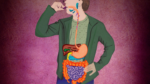 Man swallowing pill - educational explainer of stomach and organs