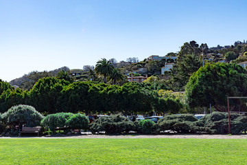 Fototapeta na wymiar Landscape view of Sausalito Residential area and parks, San Francisco, California, USA, March 31, 2020