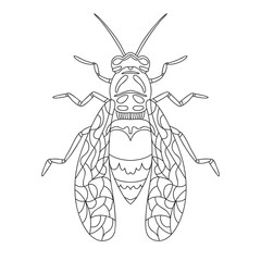 Wasp bee outline realistic. Vector graphic illustration. Summer vector illustration. Coloring book. Hand realistic drawing. Cartoon Insects: bee, wasp, bumblebee, hornet - in contours