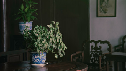 The art vase at Garden of Cultivation(Yi Pu) built on 1541at Suzhou,Jiangsu,China.Registered in the World Heritage List with classical gardens.All art selection are from the era.