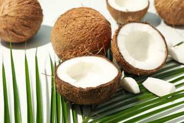 Fototapeta na wymiar Coconut and palm branch on white background, close up