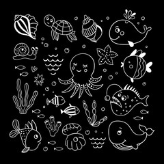 Sea animals and creatures vector outline illustrations. Hand drawn underwater animals and fishes