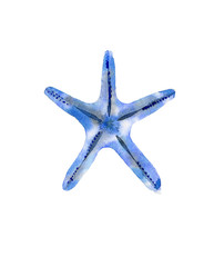 Blue starfish. Sea creature. Ocean life. Watercolour illustration isolated on white background. 