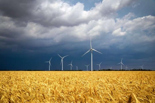Wind turbines and agricultural field on a summer cloudy day. Energy production, clean and renewable energy. - Powered by Adobe