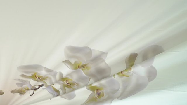 Workers stretch the stretch ceiling in the room
