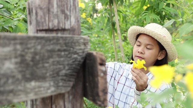 A young girl are touching with a cool yellow flower and learning about nature in the evening. Yellow elder flowers are bright can be planted easily and occur in the tropics in general. Relax time.