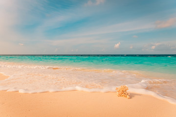 Tranquil beach scenery with coral on white sand. Relaxing and peaceful and uplifting luxury summer landscape. freedom travel and vacation background. Tropical island nature, paradise beach