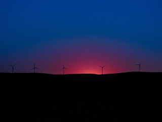 many windmills on a sunset