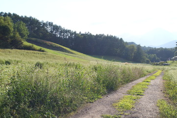 Soba farm in Nagano prefecture