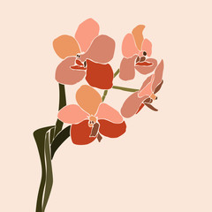 Art collage orchid flower in a minimal trendy style. Silhouette of orchid plants in a contemporary simple abstract style © Sini4ka