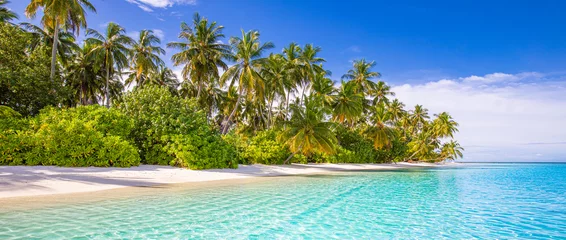 Foto auf Glas Tropischer Strandhintergrund als Sommerlandschaft mit weißem Sand und Kokospalmen in der Nähe von ruhigem Meer für Strandbanner. Perfekter Strandszenenurlaub und Sommerferienkonzept. © icemanphotos