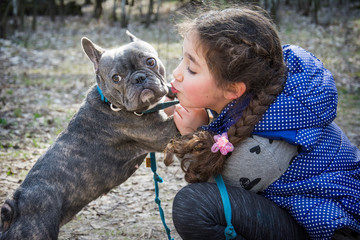 In spring, on a bright sunny day, a little girl kisses a French bulldog.