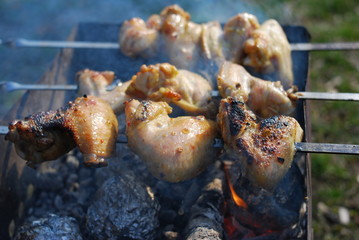 Chicken wings are fried on skewers on the grill. Picnic in nature.