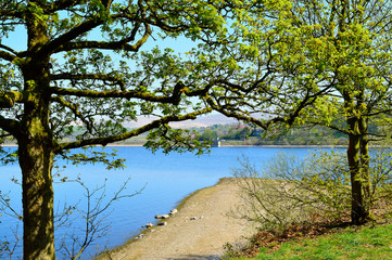 Hollingworth lake country park