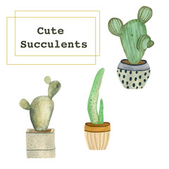 Watercolor illustration of a set of green exotic cacti in colorful pots. Hand-drawn with watercolors and suitable for all types of design.
