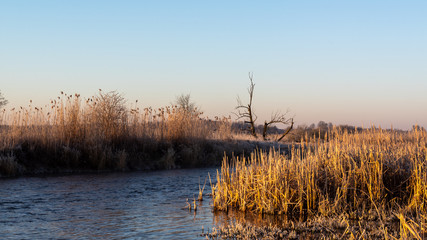 Narwiański Park Narodowy. Rzeka Narew. Polska Amazonia, Podlasie,Polska © podlaski49