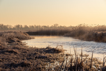 Narwiański Park Narodowy. Rzeka Narew. Polska Amazonia, Podlasie,Polska © podlaski49
