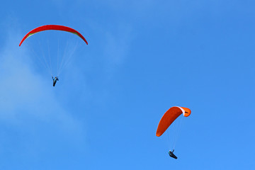 Paragliders flying wing in a blue sky	