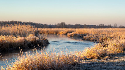 Narwiański Park Narodowy. Rzeka Narew. Polska Amazonia, Podlasie,Polska © podlaski49