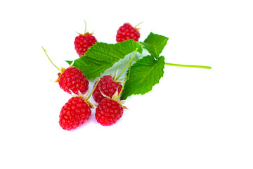 Ripe raspberries isolated on white background