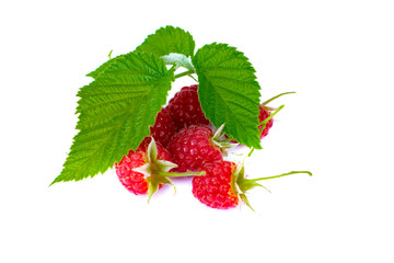 Ripe raspberries isolated on white background