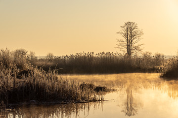 Narwiański Park Narodowy. Rzeka Narew. Polska Amazonia, Podlasie,Polska © podlaski49