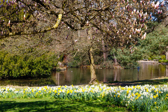 Wiesbaden, Kuranlagen, 30.03.2020.