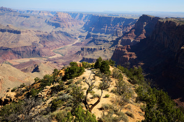 Arizona / USA - August 01, 2015: South Rim Grand Canyon landscape, Arizona, USA