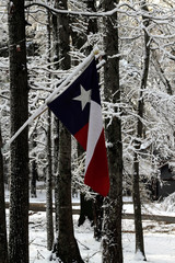 Texas Flag in Snow