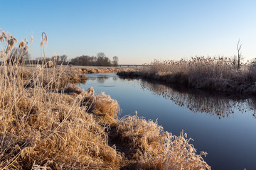 Narwiański Park Narodowy. Rzeka Narew. Polska Amazonia, Podlasie,Polska © podlaski49