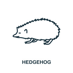 Hedgehog icon from wild animals collection. Simple line Hedgehog icon for templates, web design and infographics