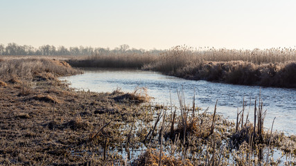 Narwiański Park Narodowy. Rzeka Narew. Polska Amazonia, Podlasie,Polska © podlaski49