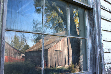 Reflecting on the Past © Katy