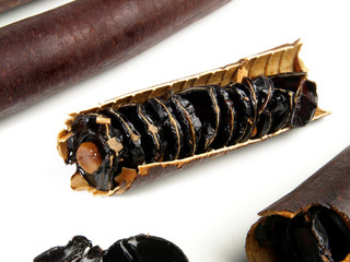 Cassia Fistula Fruit Seeds - Golden Shower Tree