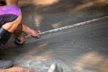 Workers are plastered walls.