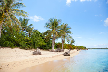 Obraz premium Tropical island with a white sandy beach. The nature of the Philippine Islands.