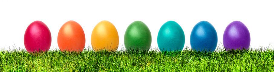 Bunte Ostereier in einer Grünen Wiese Banner