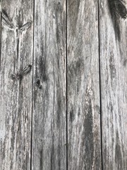 Weathered wood gray grey