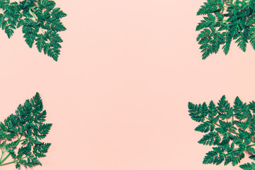 Fototapeta premium Abstract composition with green leaves on pastel background.