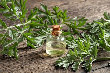 A bottle of wormwood essential oil with fresh Artemisia Absinthium twigs - obrazy, fototapety, plakaty