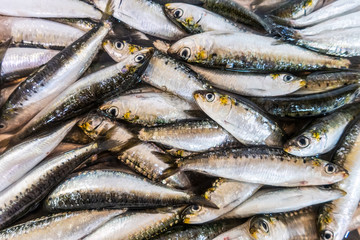 Varieties of fresh fish in market in Tavira, Algarve Portugal