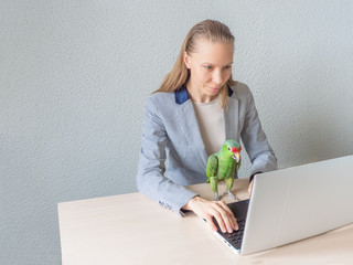 Woman is sitting with a green parrot at the computer. Remote work. © sablinstanislav