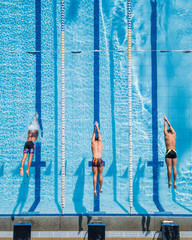 Three Swimmers Diving