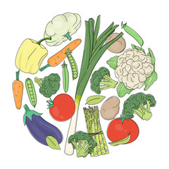Set with vegetables arranged in a circle on a white background.