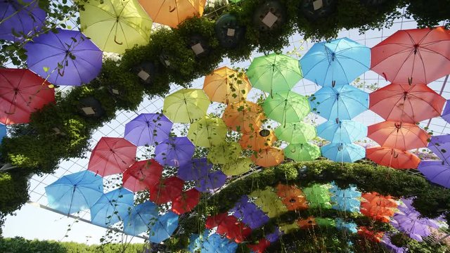 Multi-colored umbrellas in the park of the city.