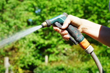 Gardener at gardening uses garden hose for watering