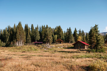 Wooden huts in pine forest on autumn at Assiniboine provincial park