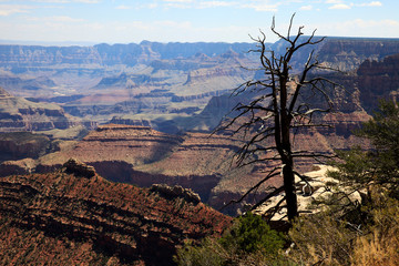Arizona / USA - August 01, 2015: South Rim Grand Canyon landscape, Arizona, USA