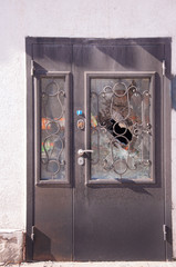 Broken glass in front door