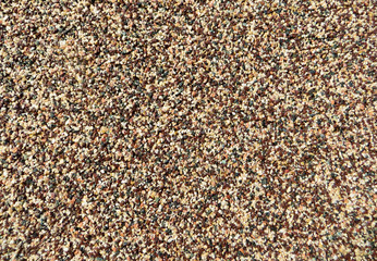 Texture of brown facade plaster